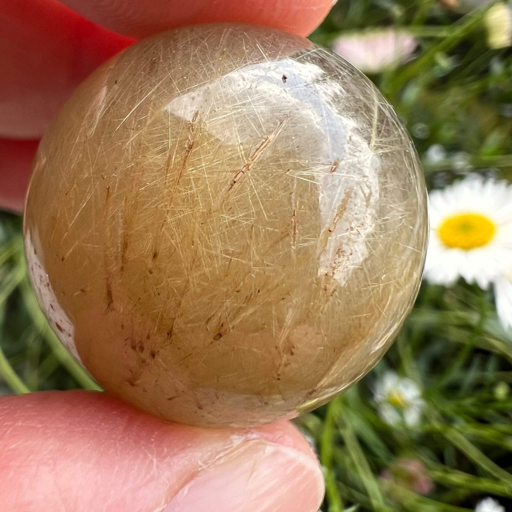Goldrutilquarz Kugel | klarer Quarz | goldene Rutilnadeln | sommerliche Stimmung | Happy Minerals
