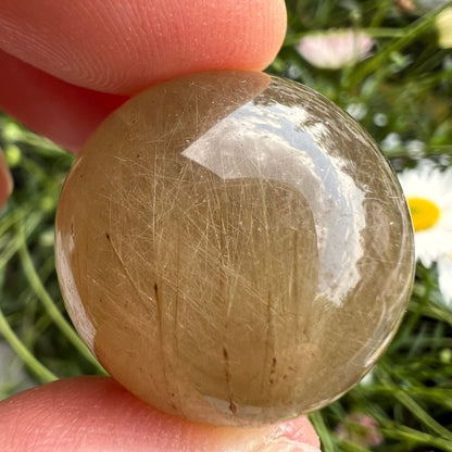 Goldrutilquarz Kugel | Hand | Blumenhintergrund | helle Reflexion | seidiger Glanz | Happy Minerals