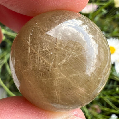 Goldrutilquarz Kugel | Nahaufnahme | Rutilnadeln kreuz und quer | Gänseblümchen | Happy Minerals