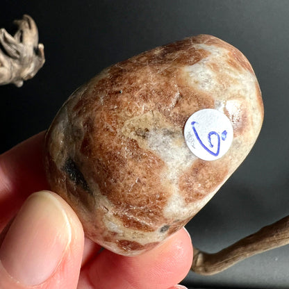 Grosser Hessonit Granat Palmstein Nr 6 mit satter Cognacfarbe