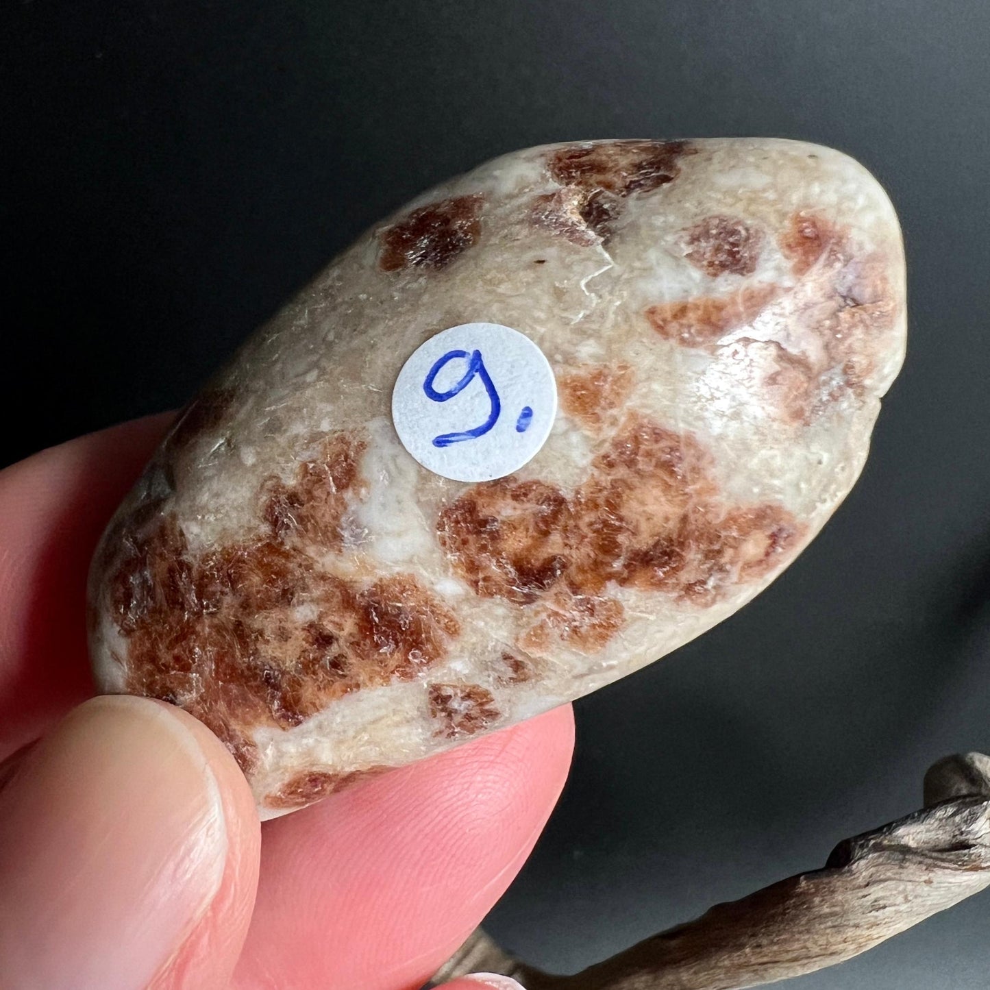 Ovaler Hessonit Granat Palmstein Nr 9 mit feinem zartem Muster