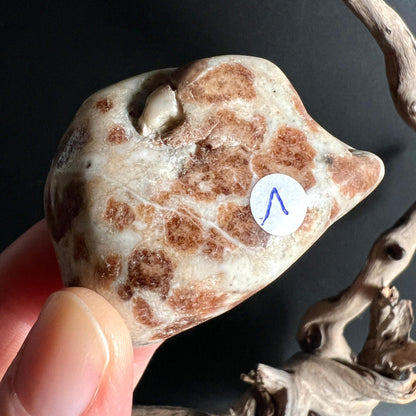 Hessonit Granat Palmstein Nr 1 mit karamellfarbenen Kristallen in Hand