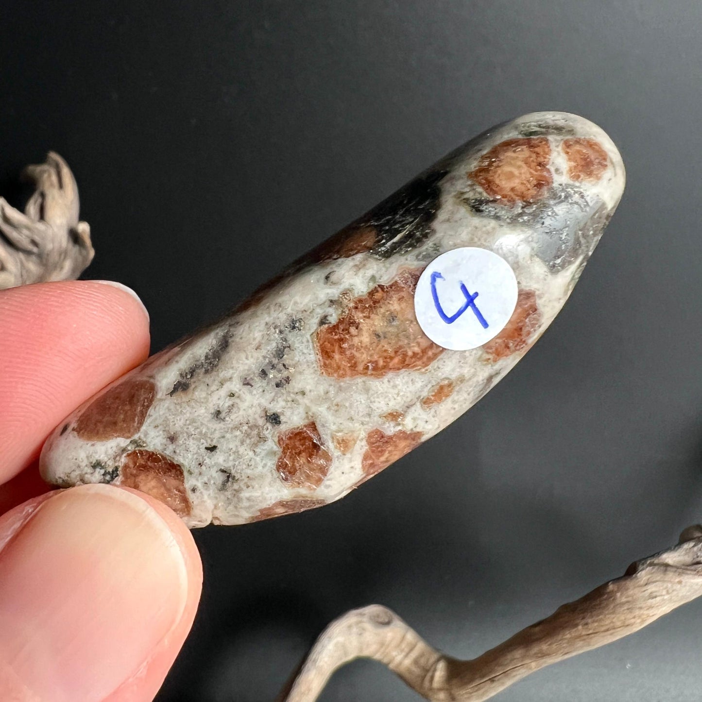 Laenglicher Hessonit in Wollastonit Nr 4 mit dunklen Einschluessen