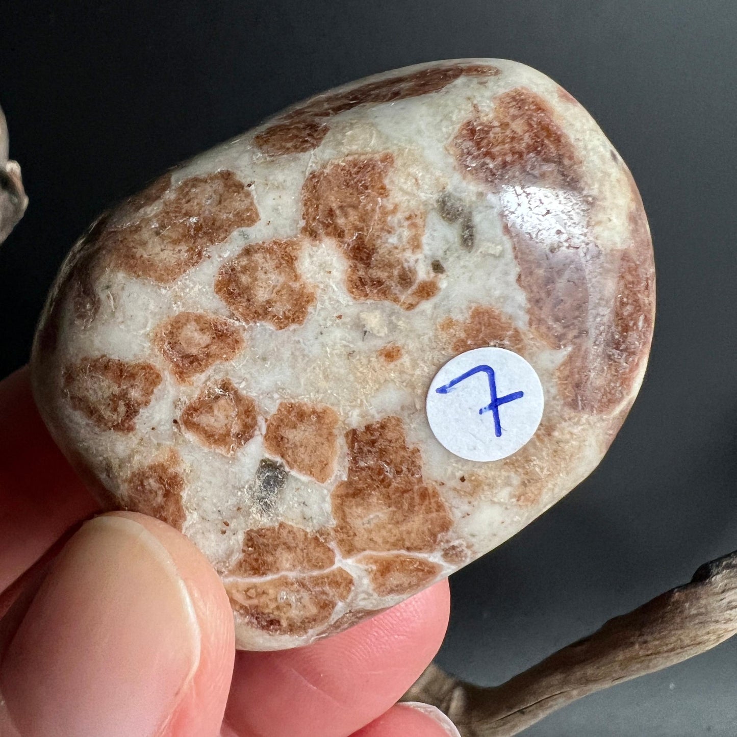 Hessonit in Wollastonit Nr 7 mit klassischem Giraffenmuster