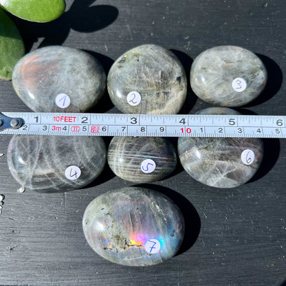 Labradorit Handschmeichler oval grau mit buntem Farbspiel 40-70mm Taschensteinen | Happy Minerals