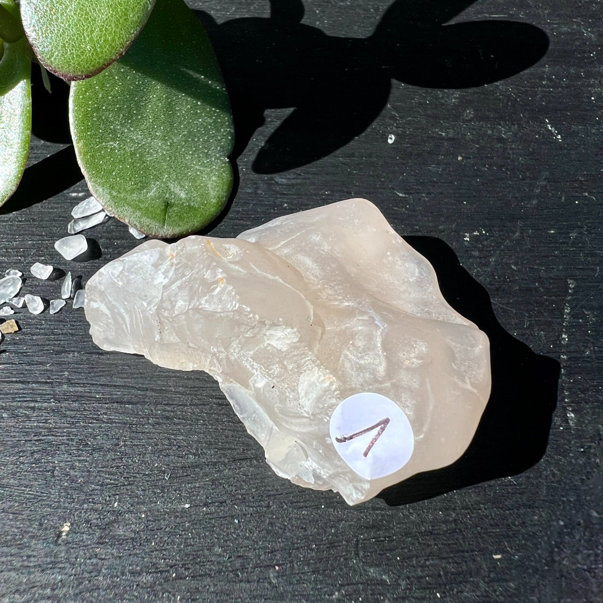 Gobi Achat Rohstein rosa-beige transluzent auf dunklem Schiefer mit grüner Pflanze | Happy Minerals