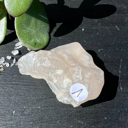 Gobi Achat Rohstein rosa-beige transluzent auf dunklem Schiefer mit grüner Pflanze | Happy Minerals