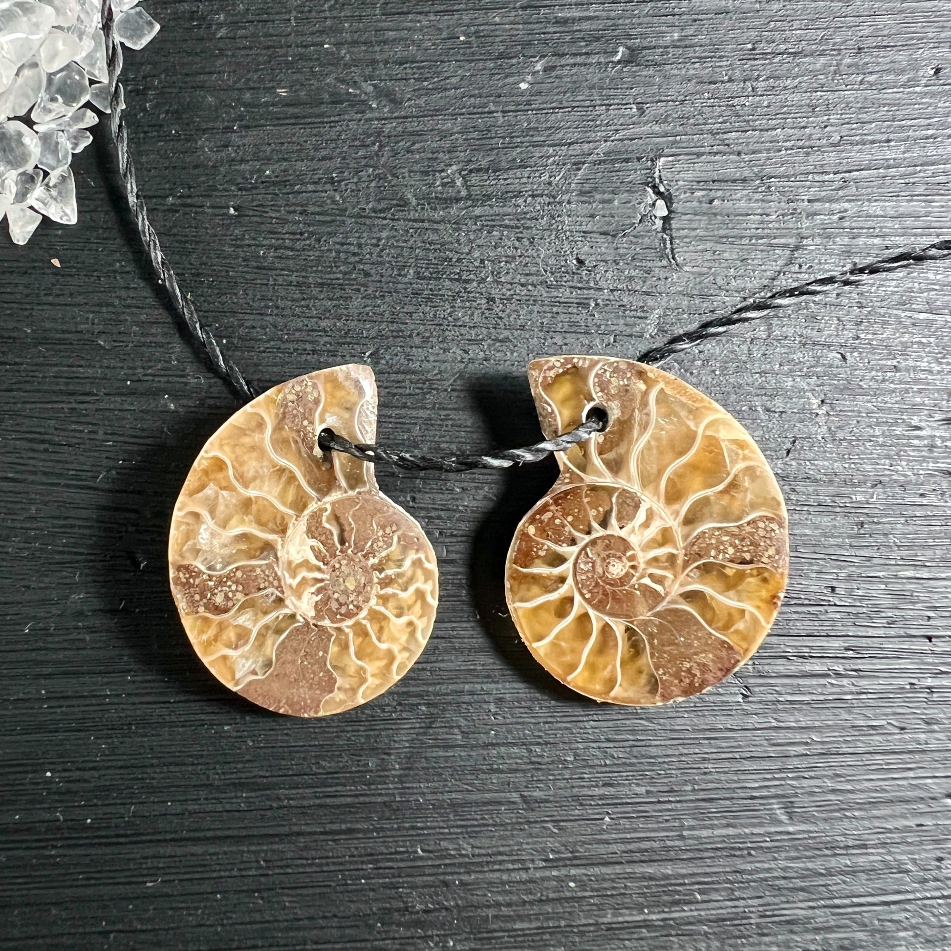 Opalisierter Ammonit Anhängerpaar braun-golden mit Spiralstruktur auf Holzuntergrund | Happy Minerals