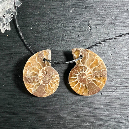 Opalisierter Ammonit Anhängerpaar braun-golden mit Spiralstruktur auf Holzuntergrund | Happy Minerals