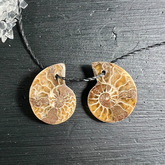Opalisierter Ammonit Anhängerpaar braun-golden mit Spiralstruktur auf Holzuntergrund | Happy Minerals
