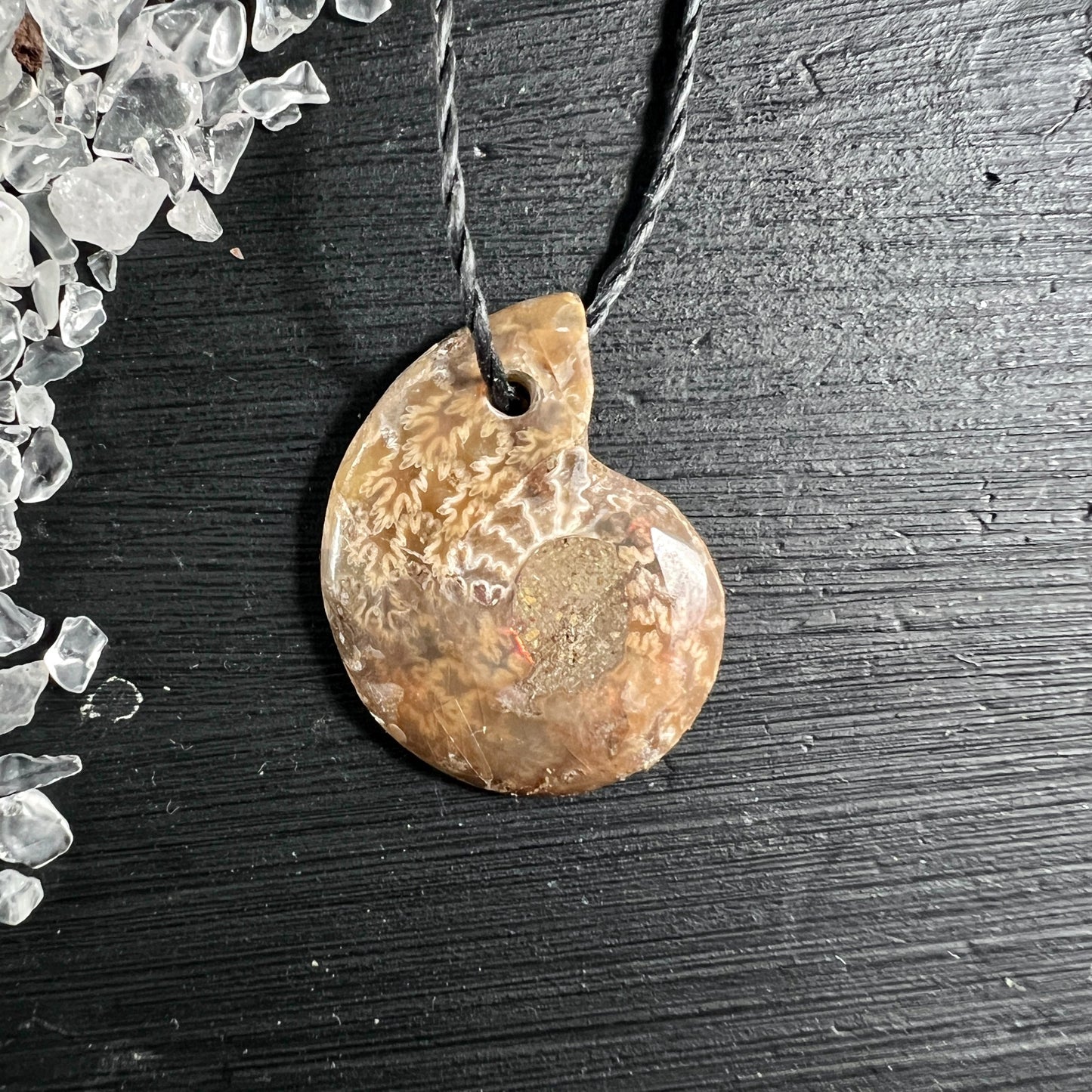 Opalisierter Ammonit Anhänger golden-braun 25mm mit Regenbogenschimmer auf Holz | Happy Minerals