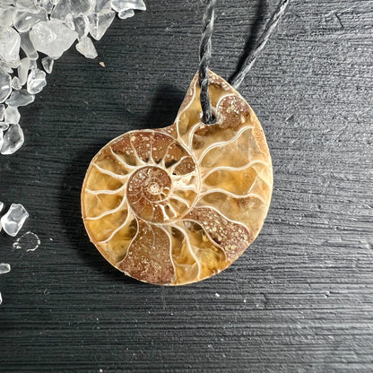 Opalisierter Ammonit Anhänger goldbraun 25mm mit Spiralstruktur und Regenbogeneffekt | Happy Minerals