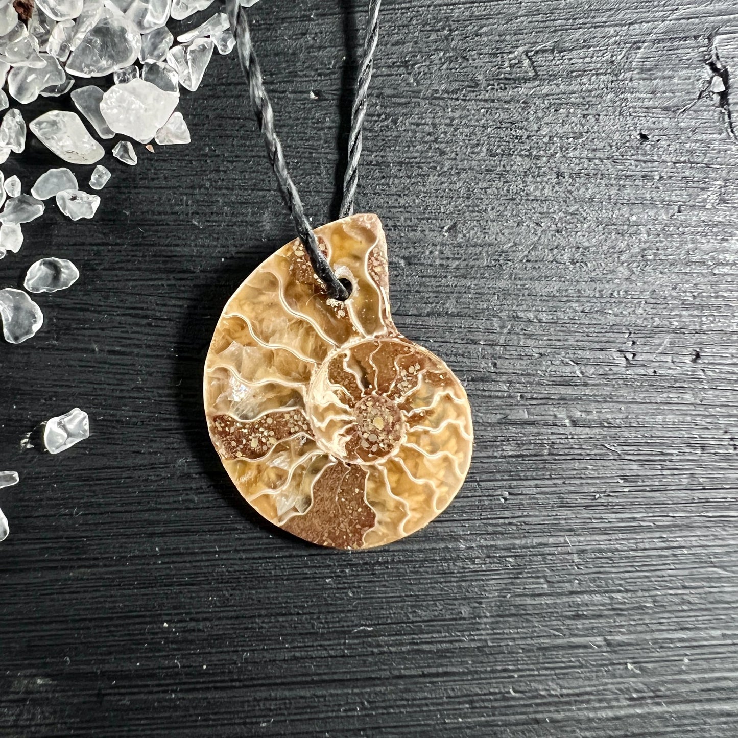 Opalisierter Ammonit Anhänger braun-beige mit spiralförmiger Fossilstruktur auf schwarzem Holz | Happy Minerals