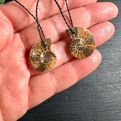Opalisierter Ammonit Anhänger braun-golden spiralförmig fossiliert Paar Urzeitstein | Happy Minerals
