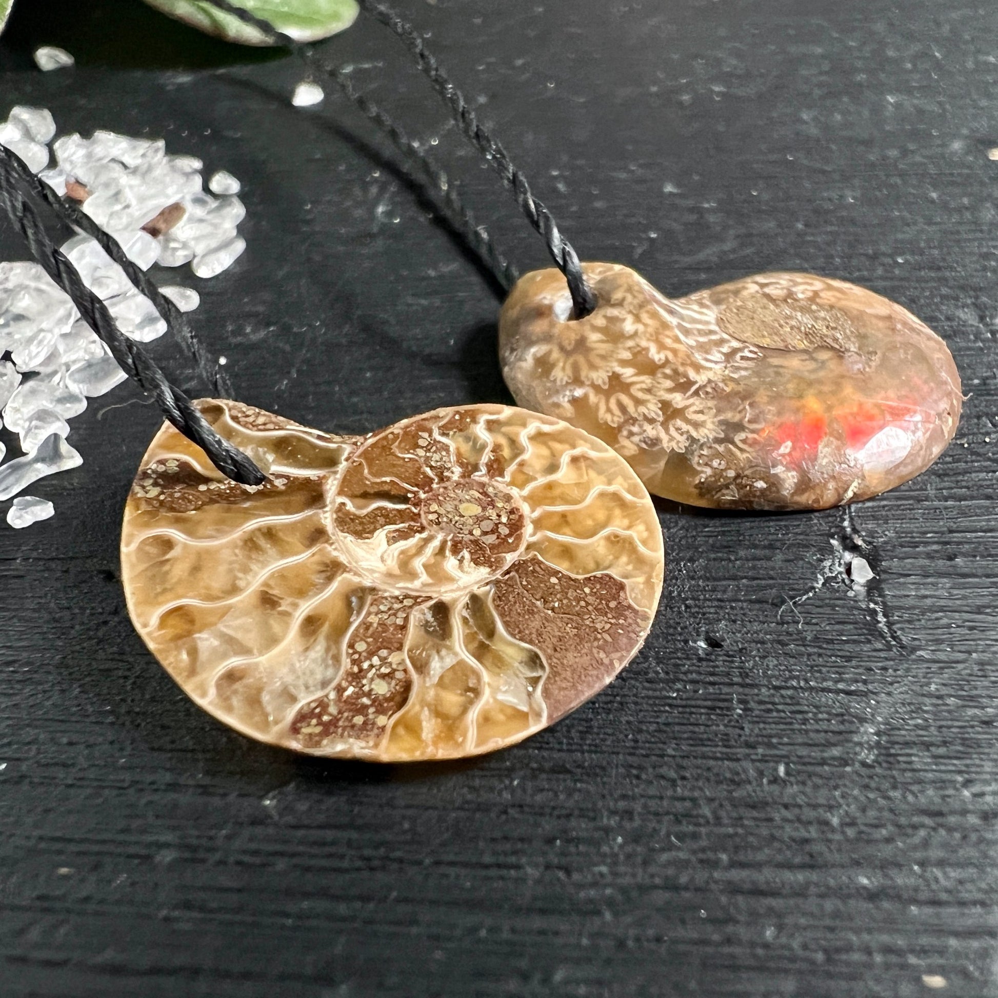 Opalisierter Ammonit Anhänger braun-beige mit Regenbogen-Schimmer fossile Spiralstruktur | Happy Minerals