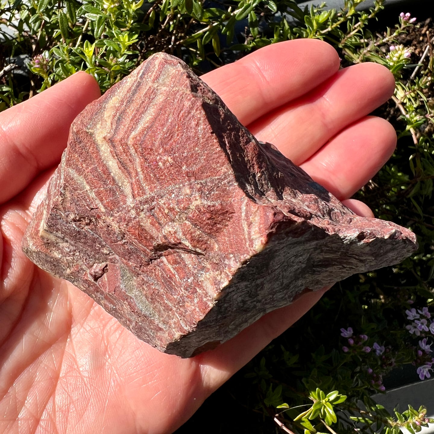Bänderjaspis Rohstein rot-braun gestreift in Hand gehalten 9cm Erdung Stabilität | Happy Minerals