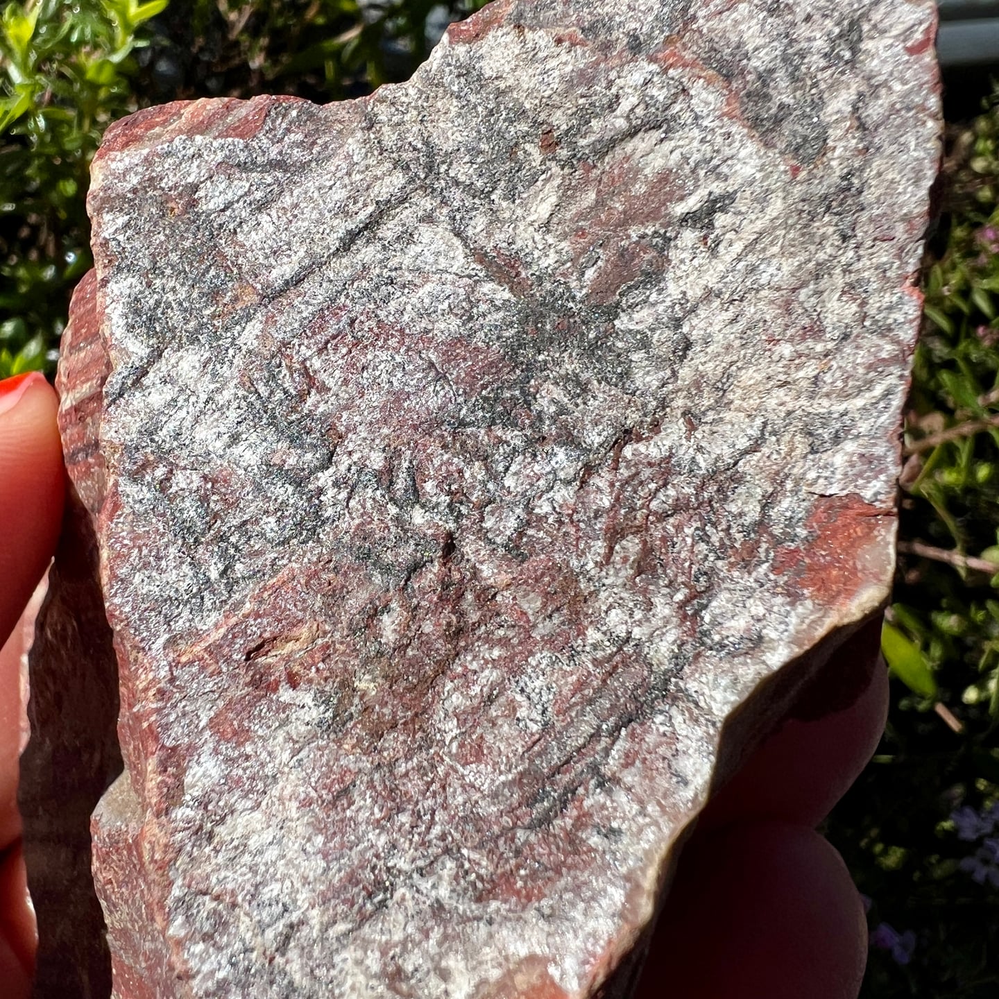 Bänderjaspis Rohstein mit rotbraunen und grauen Bändern, natürliche Maserung 9cm | Happy Minerals