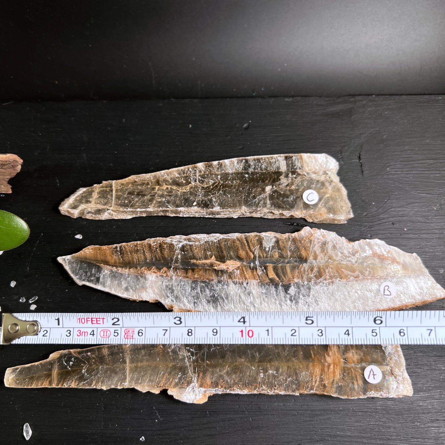 Selenit Kristalle in natürlicher beiger Farbe mit transparenten Bereichen | Happy Minerals