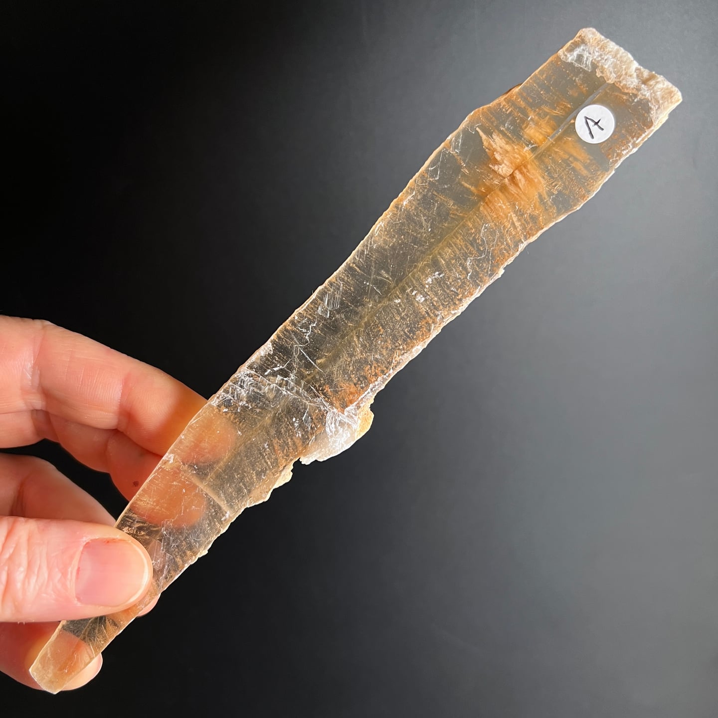 Selenit Kristallstab transparent-orange gestreift in Hand gehalten | Happy Minerals