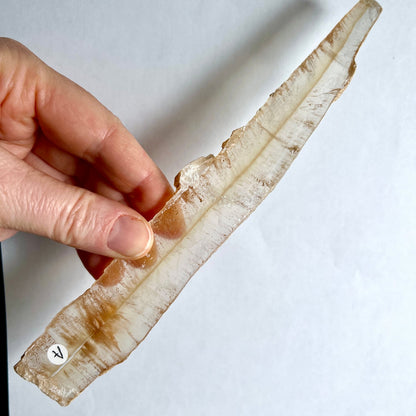 Weißer Selenit Kristall Unikat in länglicher Form mit natürlicher Streifung | Happy Minerals