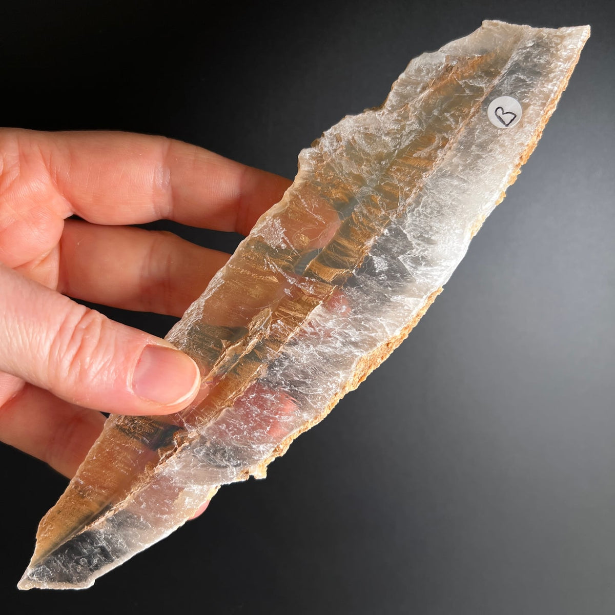 Selenit Kristall transparent-weißlich länglich gestreift in Hand gehalten | Happy Minerals