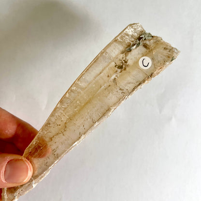 Selenit Kristall Stab transparent golden mit weißem Etikett in Hand gehalten | Happy Minerals