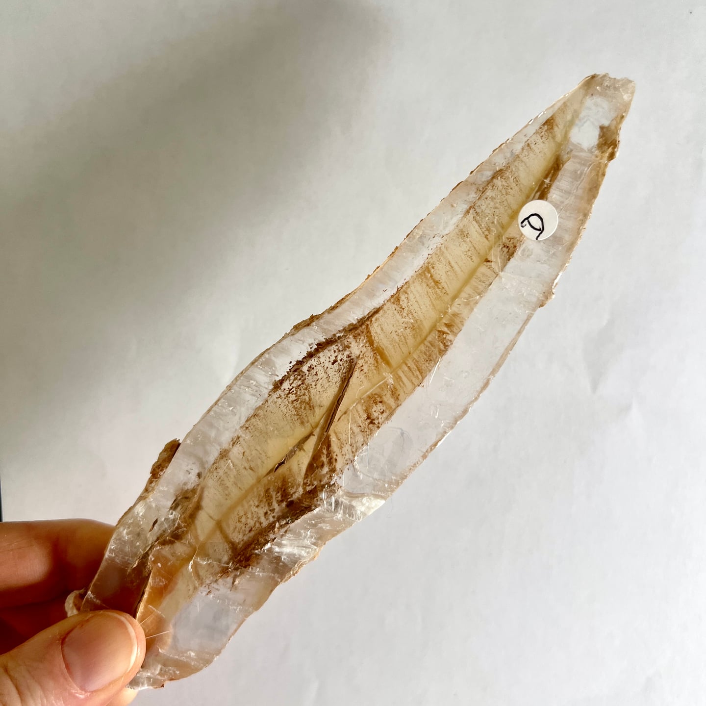 Selenit Kristall durchscheinend weiß mit braunen Einschlüssen handgehalten | Happy Minerals
