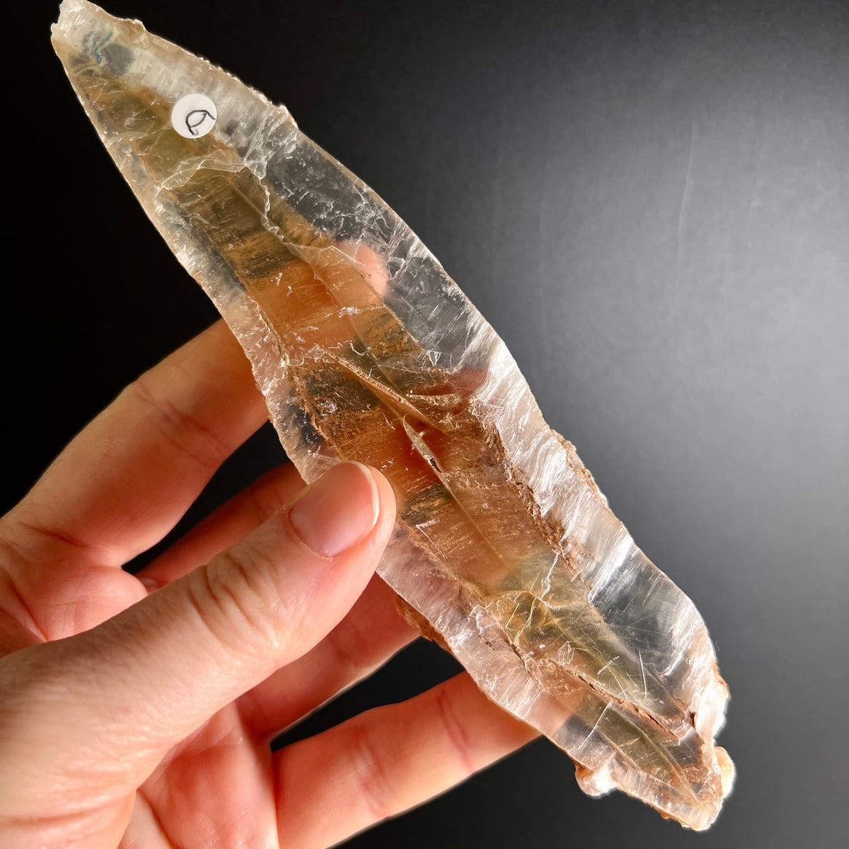 Selenit Kristall transparent honigfarben in Hand gehalten, längliche Form | Happy Minerals