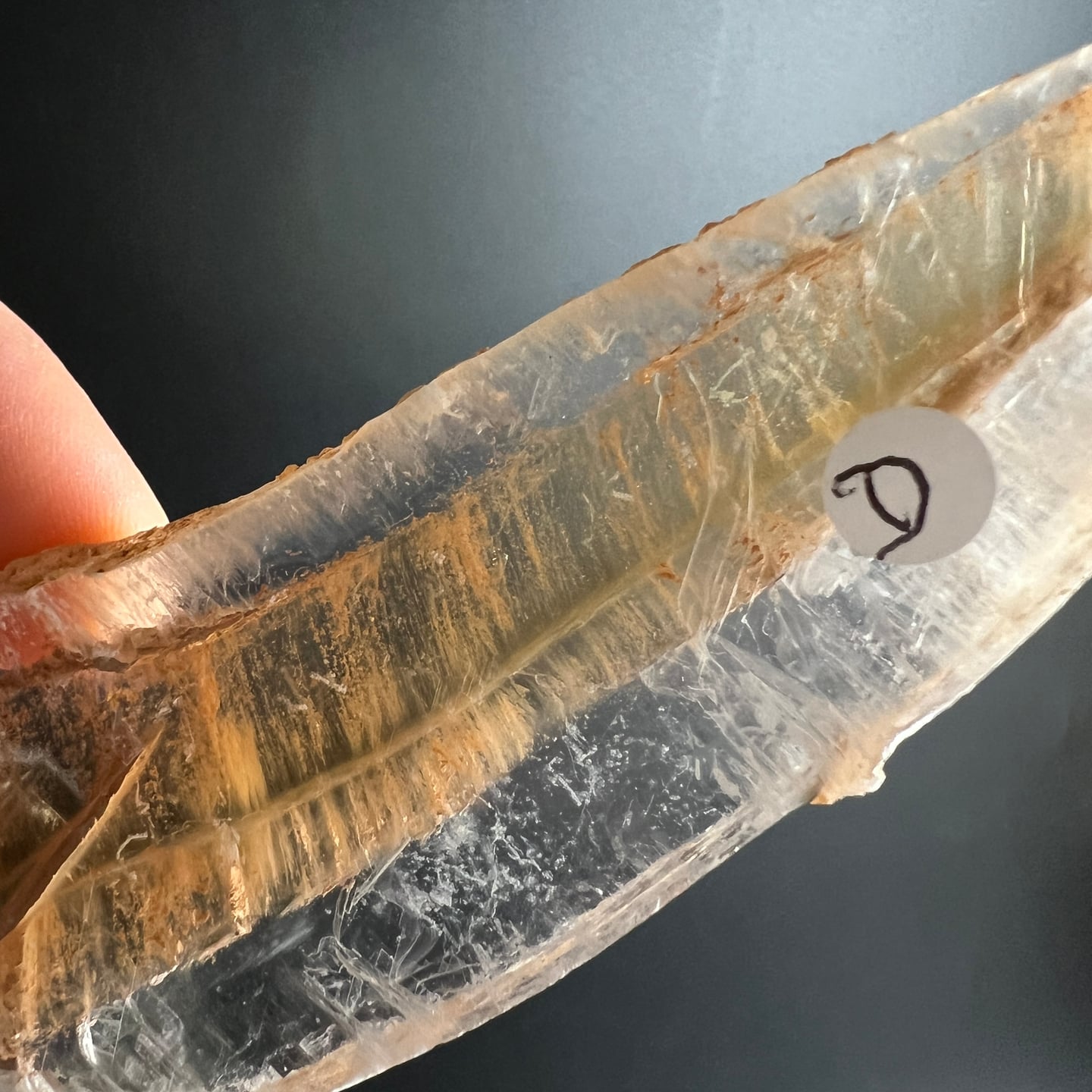 Selenit Kristall transparent mit goldenen Einschlüssen in der Hand gehalten | Happy Minerals