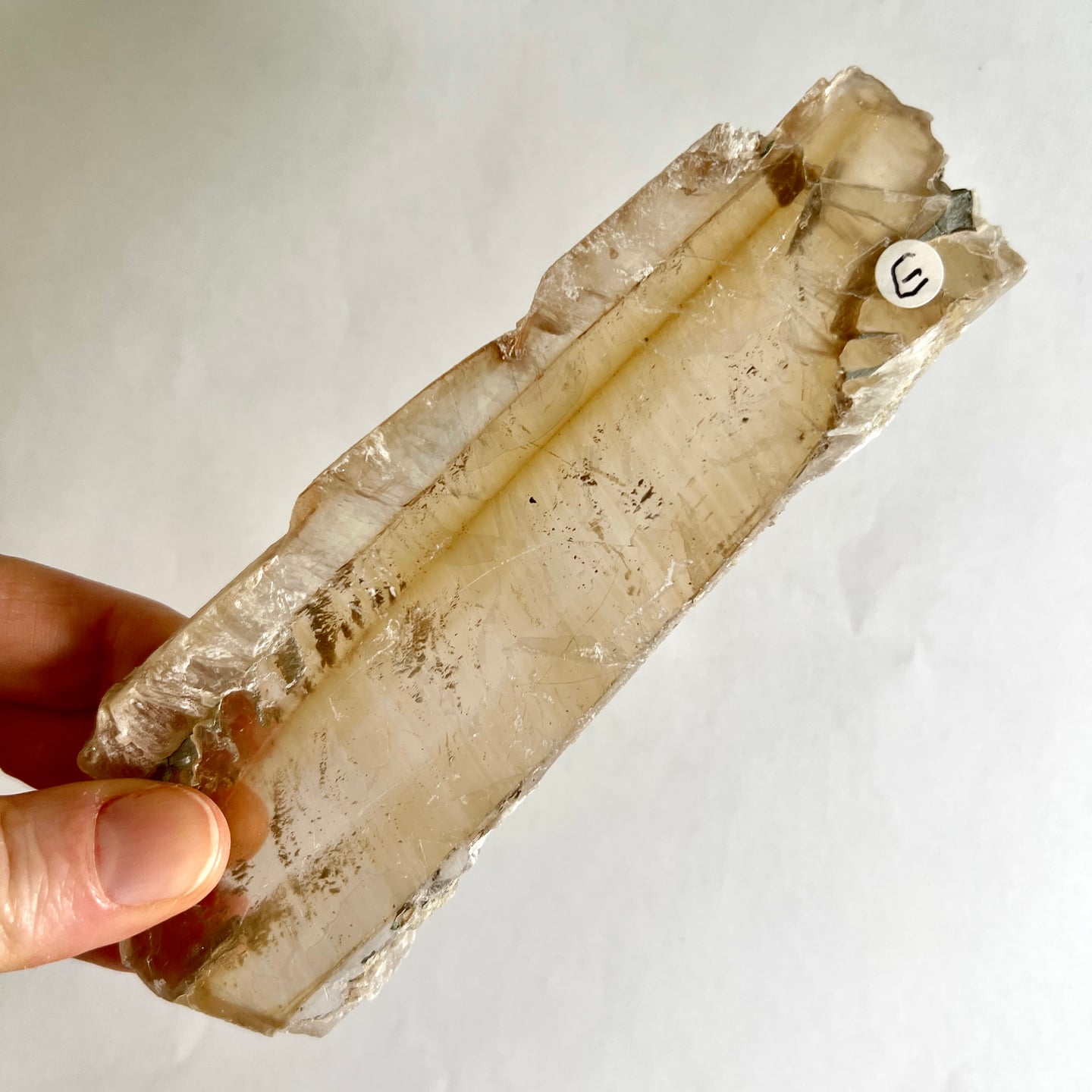 Selenit Kristall transparent gelblich mit natürlichen Einschlüssen in Hand gehalten | Happy Minerals