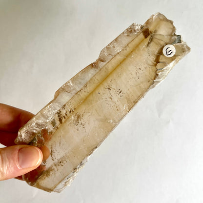 Selenit Kristall transparent gelblich mit natürlichen Einschlüssen in Hand gehalten | Happy Minerals