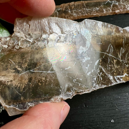 Natürlicher Selenit Kristall transparent mit Regenbogen-Lichtbrechung in Händen | Happy Minerals