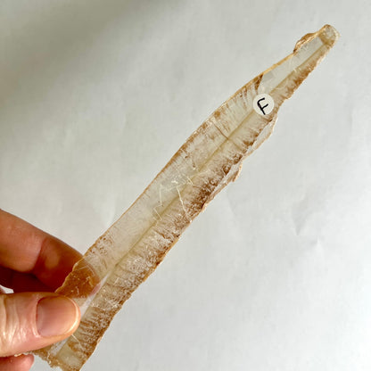 Selenit Kristall transparent weiß längliche Form mit braunen Einschlüssen | Happy Minerals