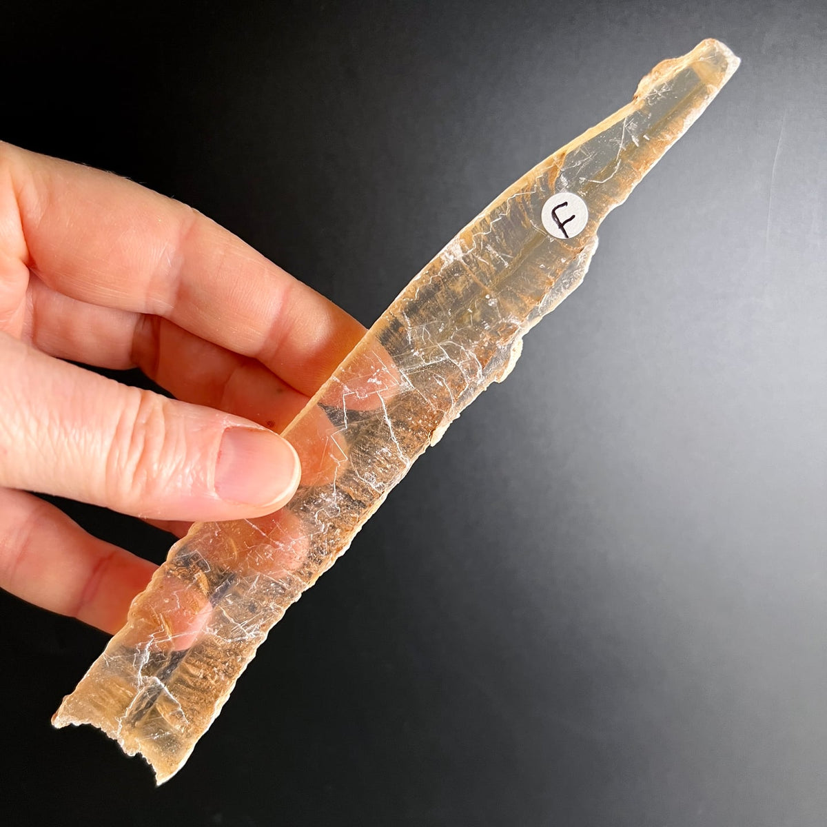 Selenit Kristallstab transparent honigfarben gestreift in Hand gehalten | Happy Minerals