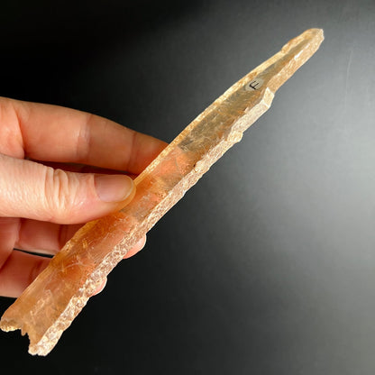 Selenit Kristall transluzent orange-gelb längliche Form in Hand gehalten | Happy Minerals