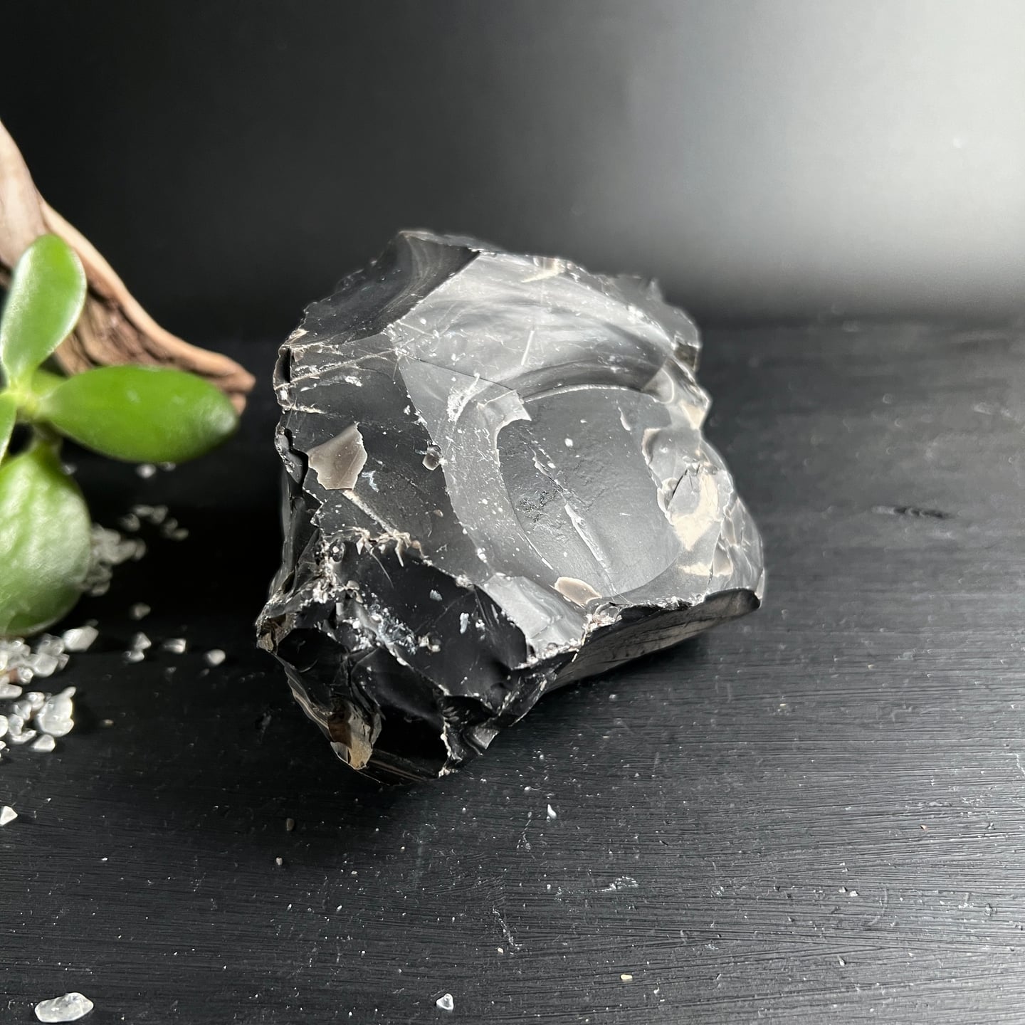 Schwarzer Onyx Rohstein aus Brasilien 765g glänzend kantig auf dunklem Holz | Happy Minerals