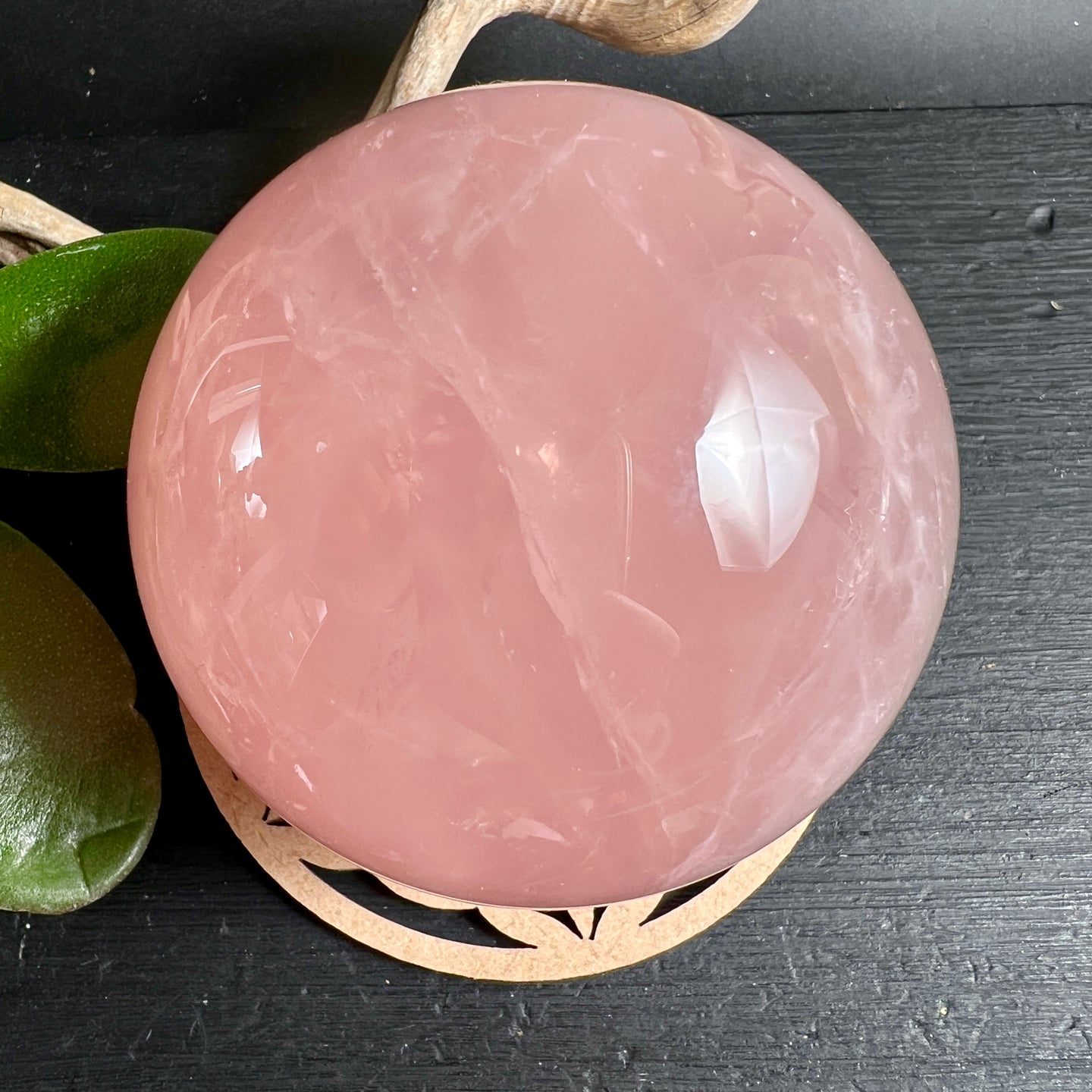 Rosa Rosenquarz Kugel poliert in Holzschale mit grünen Blättern auf dunklem Holz | Happy Minerals