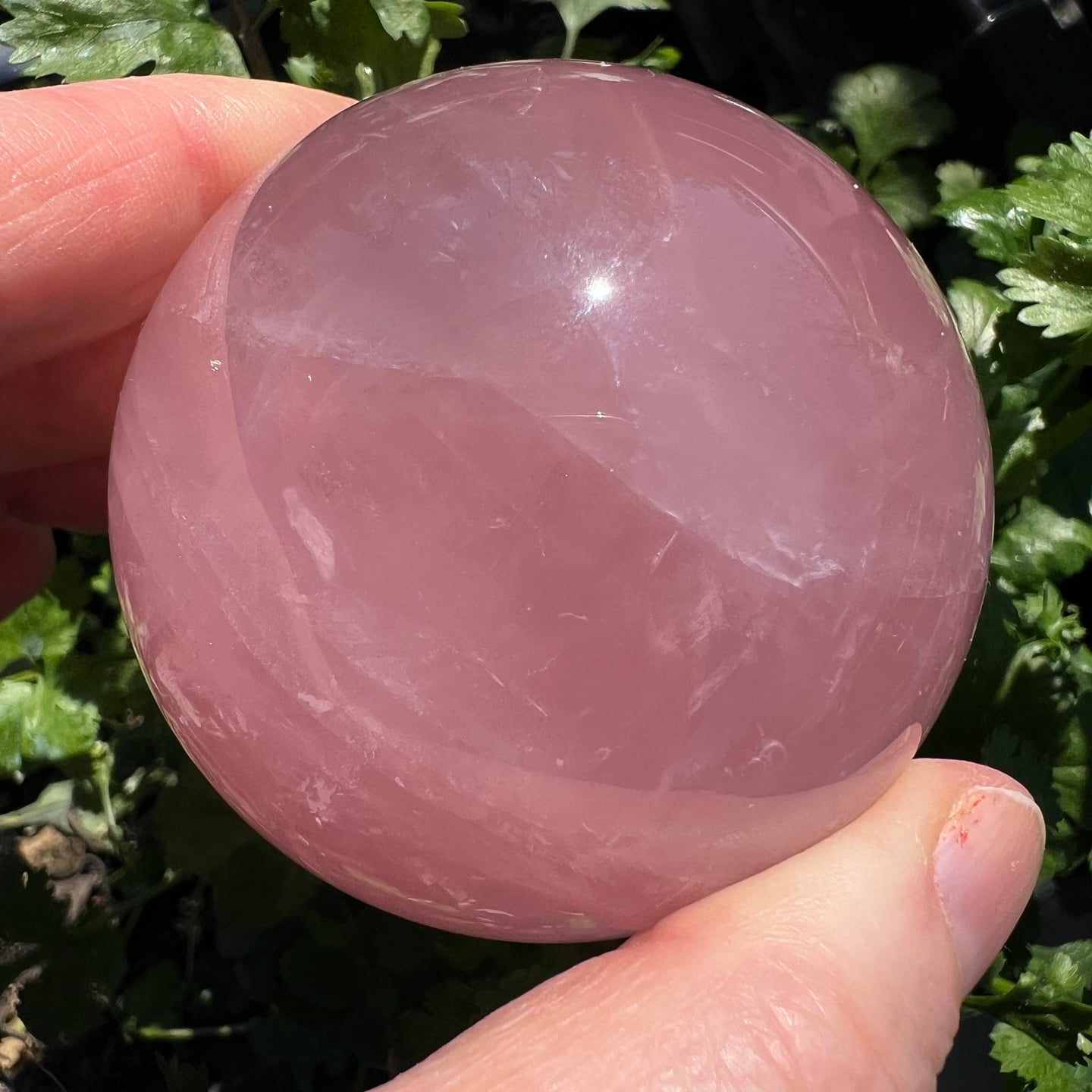 Rosa Rosenquarz Kugel poliert glänzend in Händen gehalten Naturstein | Happy Minerals