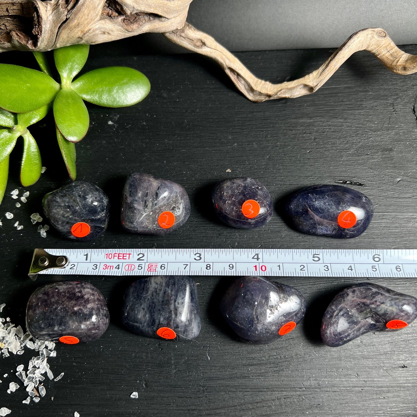 Iolith Sammlung | 8 blaue Trommelsteine | indische Cordierite | Happy Minerals Größenvergleich