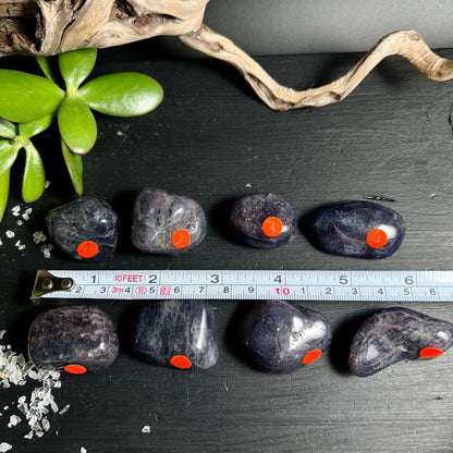 Iolith Sammlung | 8 blaue Trommelsteine | indische Cordierite | Happy Minerals Größenvergleich