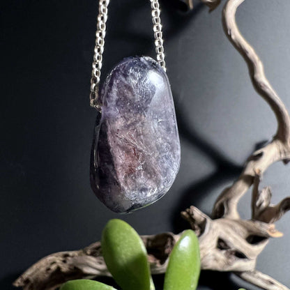 Iolith Anhänger schwebt an eleganter Silberkette vor Sukkulente und Treibholz | Happy Minerals 