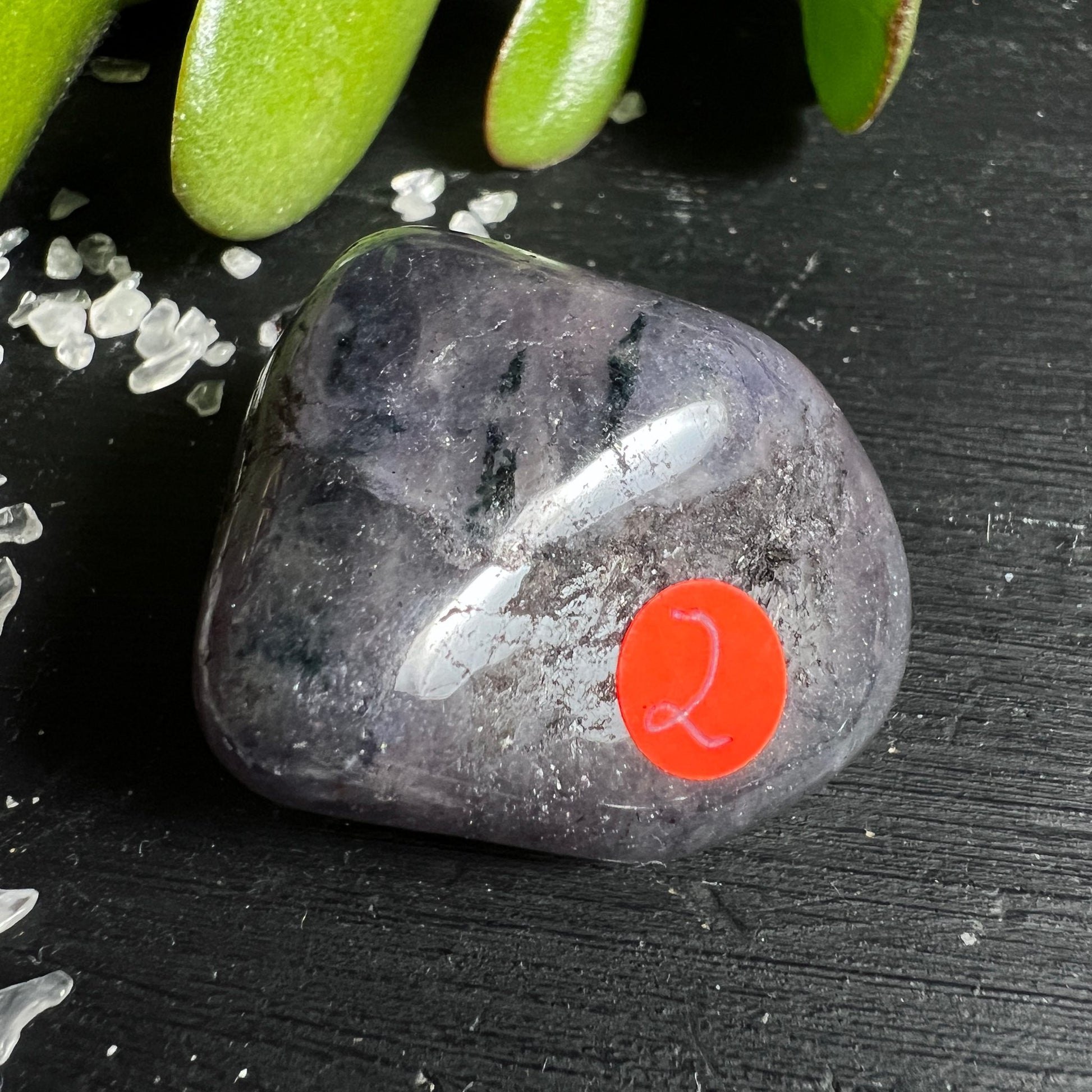 Iolith Wassersaphir Q | violett-blau changierend | polierter Trommelstein | Happy Minerals