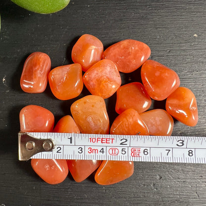 Karneol Trommelsteine | Botswana | Größenvergleich Maßband | orange Heilsteine | 1-3 Zoll | Happy Minerals