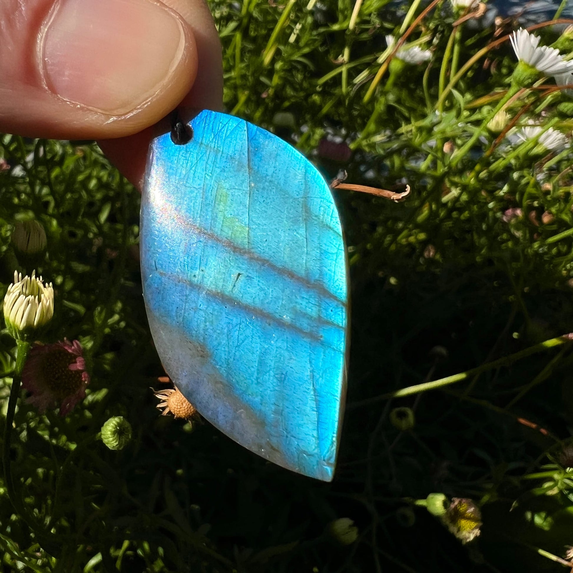 Labradorit Unikat | leuchtendes Blau | feine Schichtlinien | Finger hält Stein | Wildblumen Hintergrund | Happy Minerals