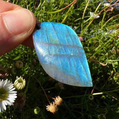 Labradorit Blattanhänger | strahlendes Himmelblau | Sonnenlicht | Gänseblümchen | natürliche Wiese | Happy Minerals