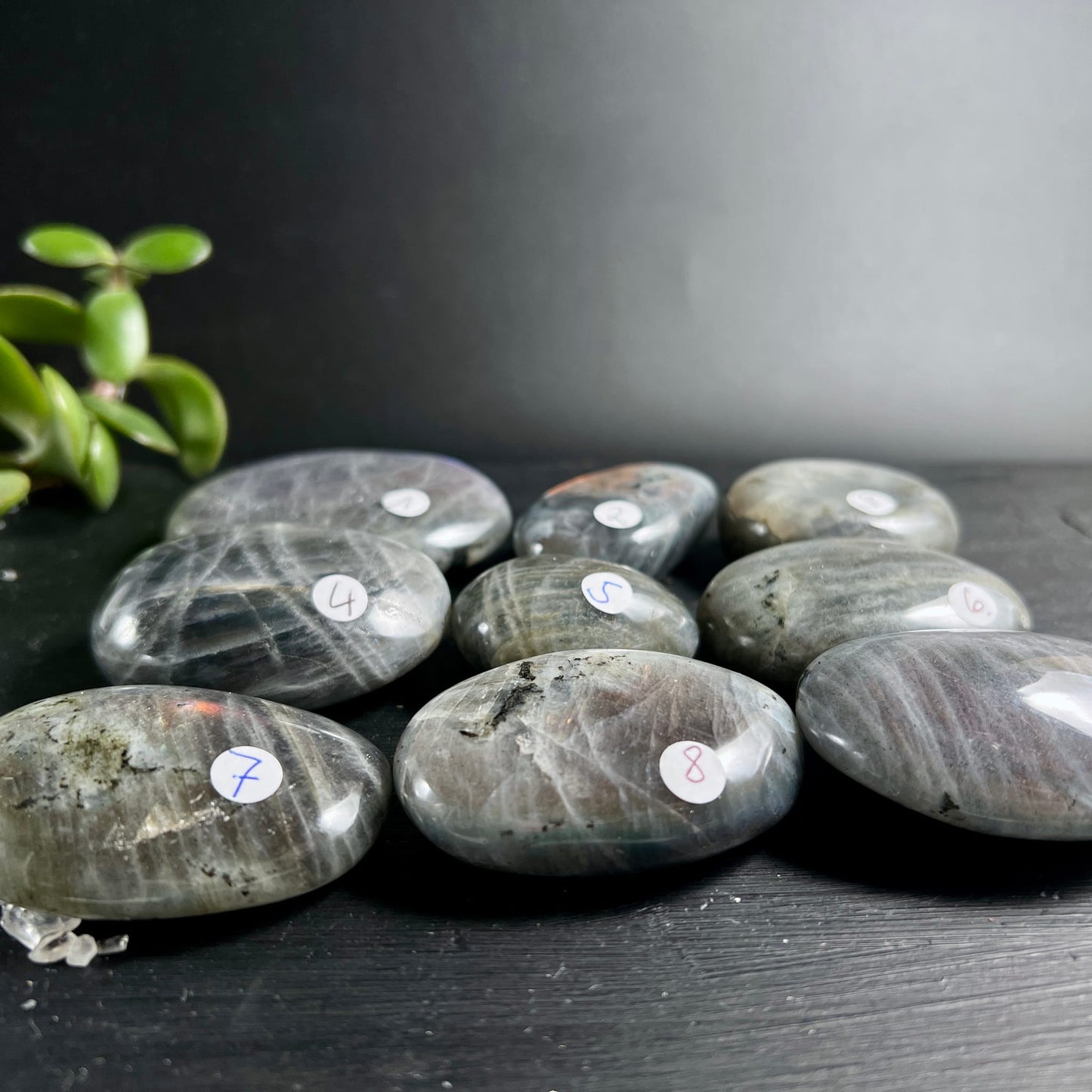 Labradorit Handschmeichler grau-anthrazit, poliert oval-flach, silbrige Schlieren & dunkle Einschlüsse, leichter Labradoreszenz-Schimmer | Happy Minerals