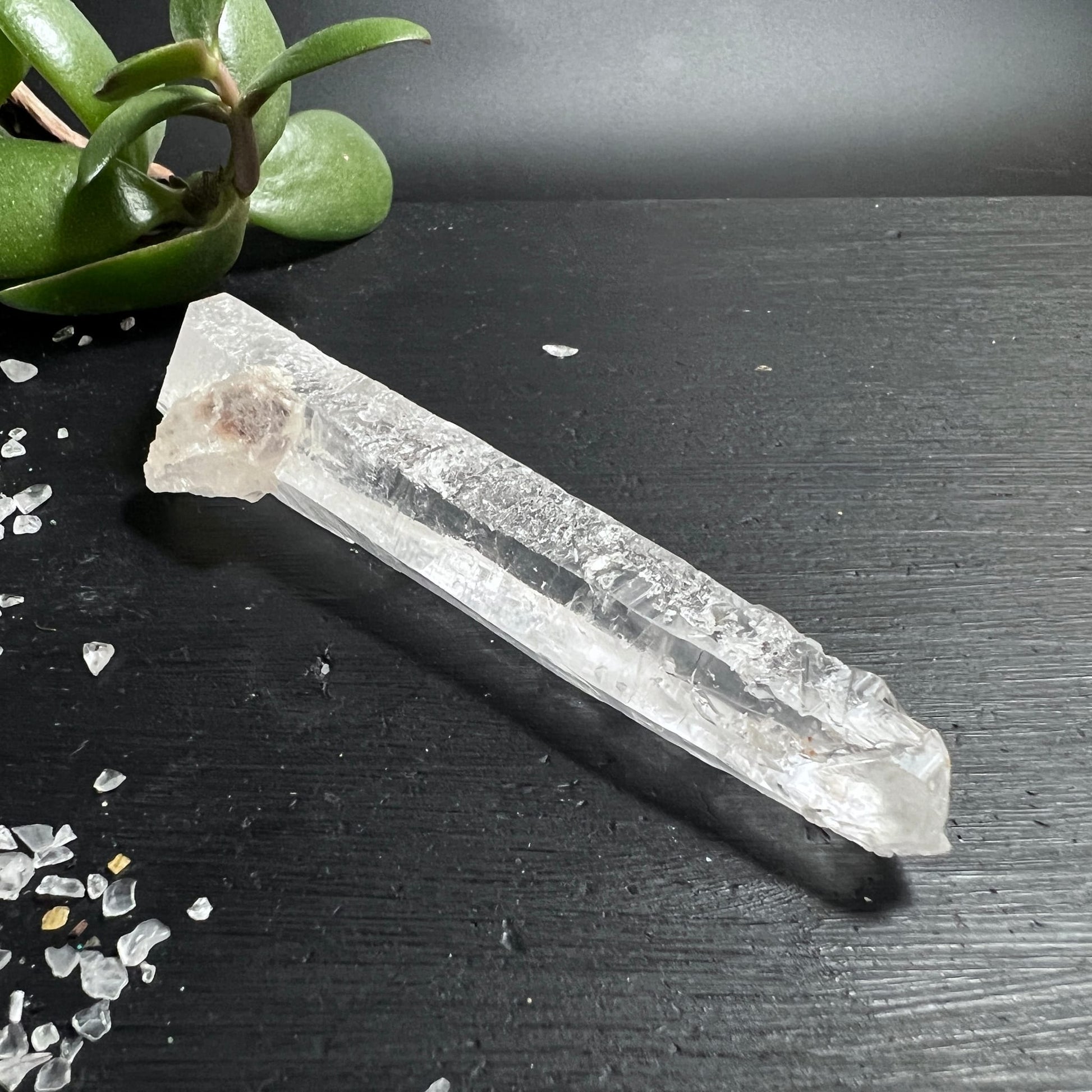 Lemuria Quarz Doppelender Brasilien | liegend auf schwarzem Schiefer | zarte Sukkulente | Happy Minerals