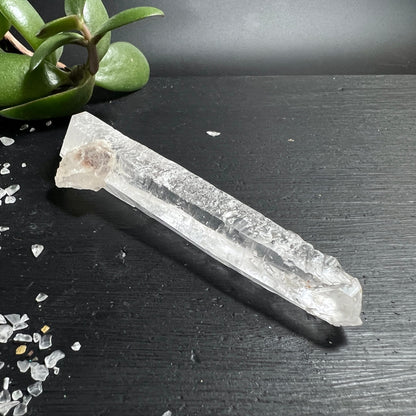 Lemuria Quarz Doppelender Brasilien | liegend auf schwarzem Schiefer | zarte Sukkulente | Happy Minerals