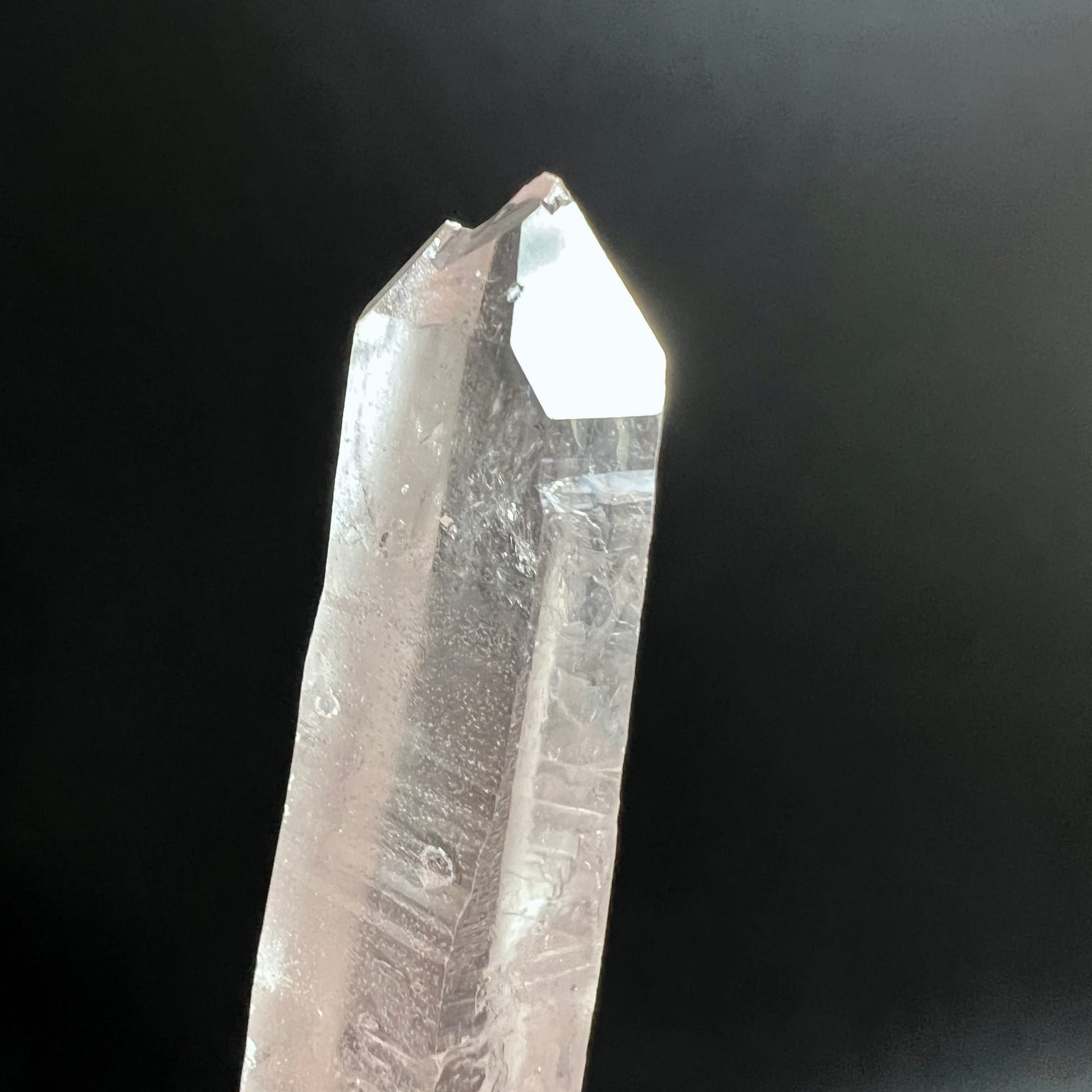 Lemuria Quarz Bergkristall Rohstein | leuchtende Spitze | dunkler Hintergrund | glasklare Facetten | Happy Minerals