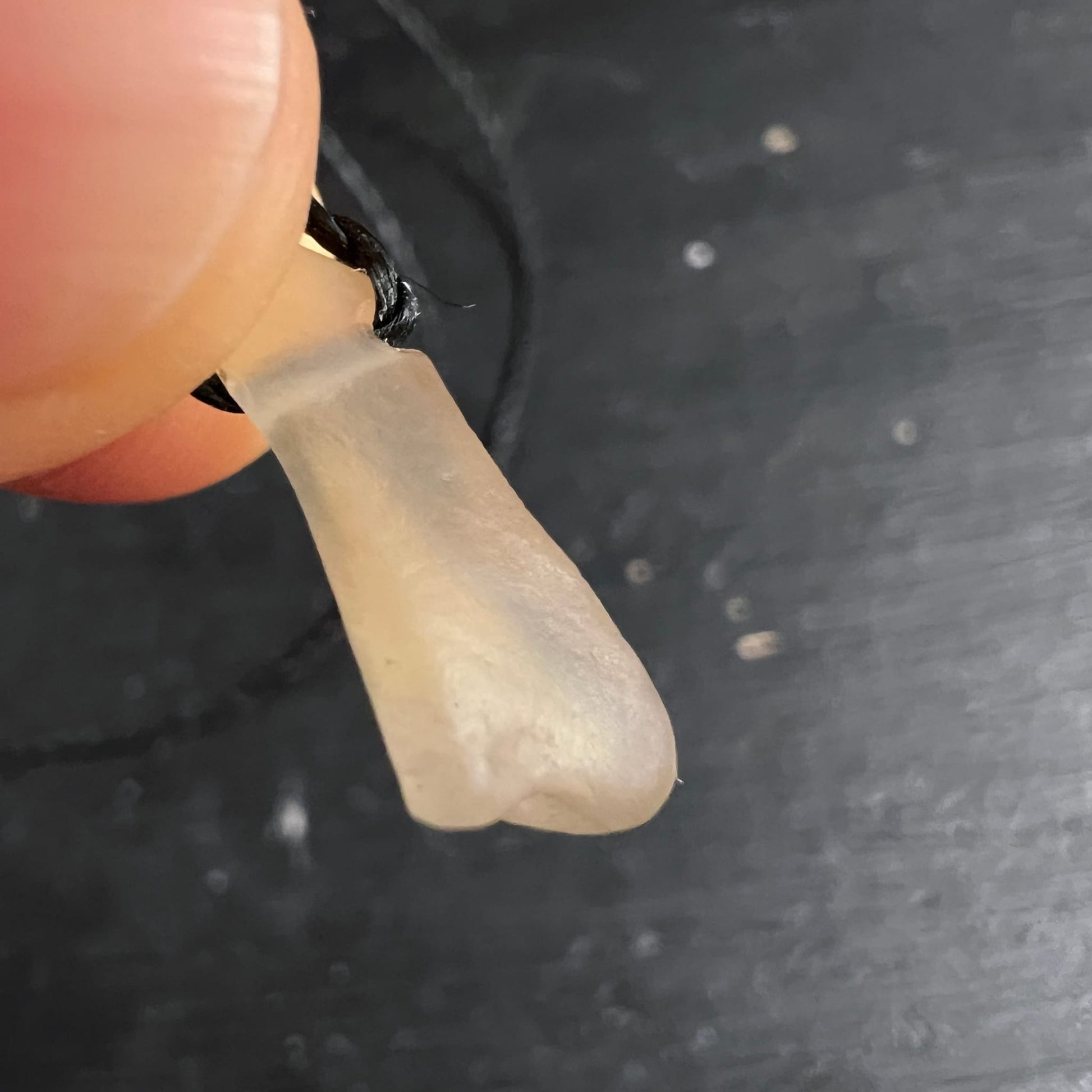 Libysches Wüstenglas Anhänger mit trüb-beiger Oberfläche, roh gebohrt, Tropfenform an schwarzer Kordel | Happy Minerals